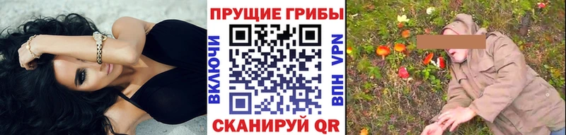 mega вход купить наркоту Сунжа Галлюциногенные грибы MAGIC MUSHROOMS